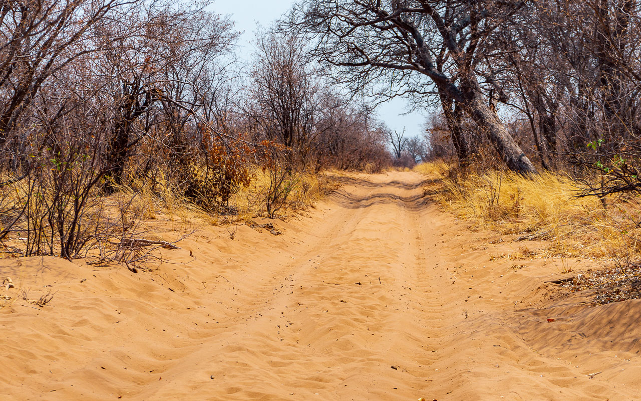 Tiefsand in Savuti (Chobe Nationalpark Botswana)