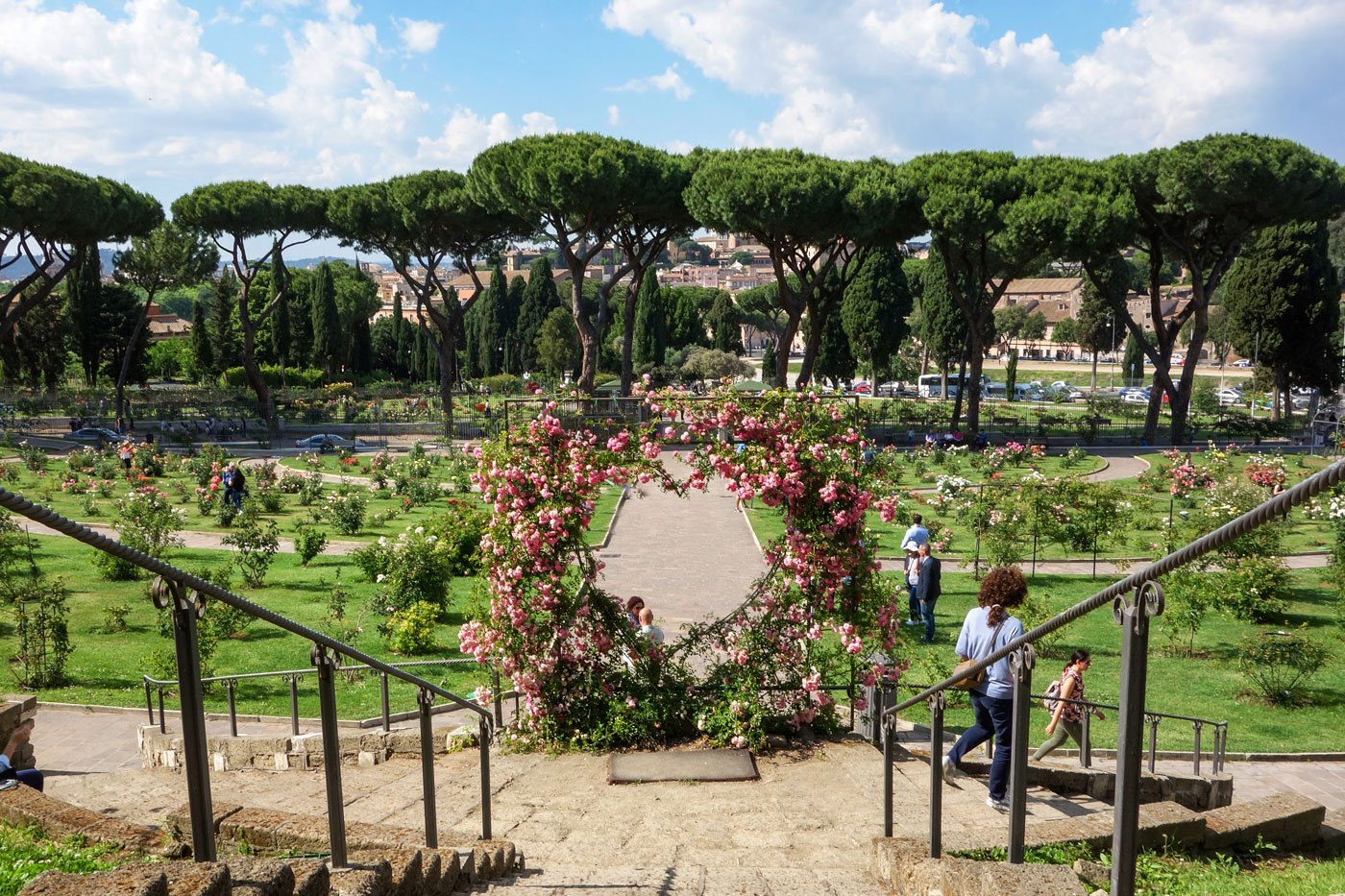 Rosengarten auf dem Aventin in Rom im April