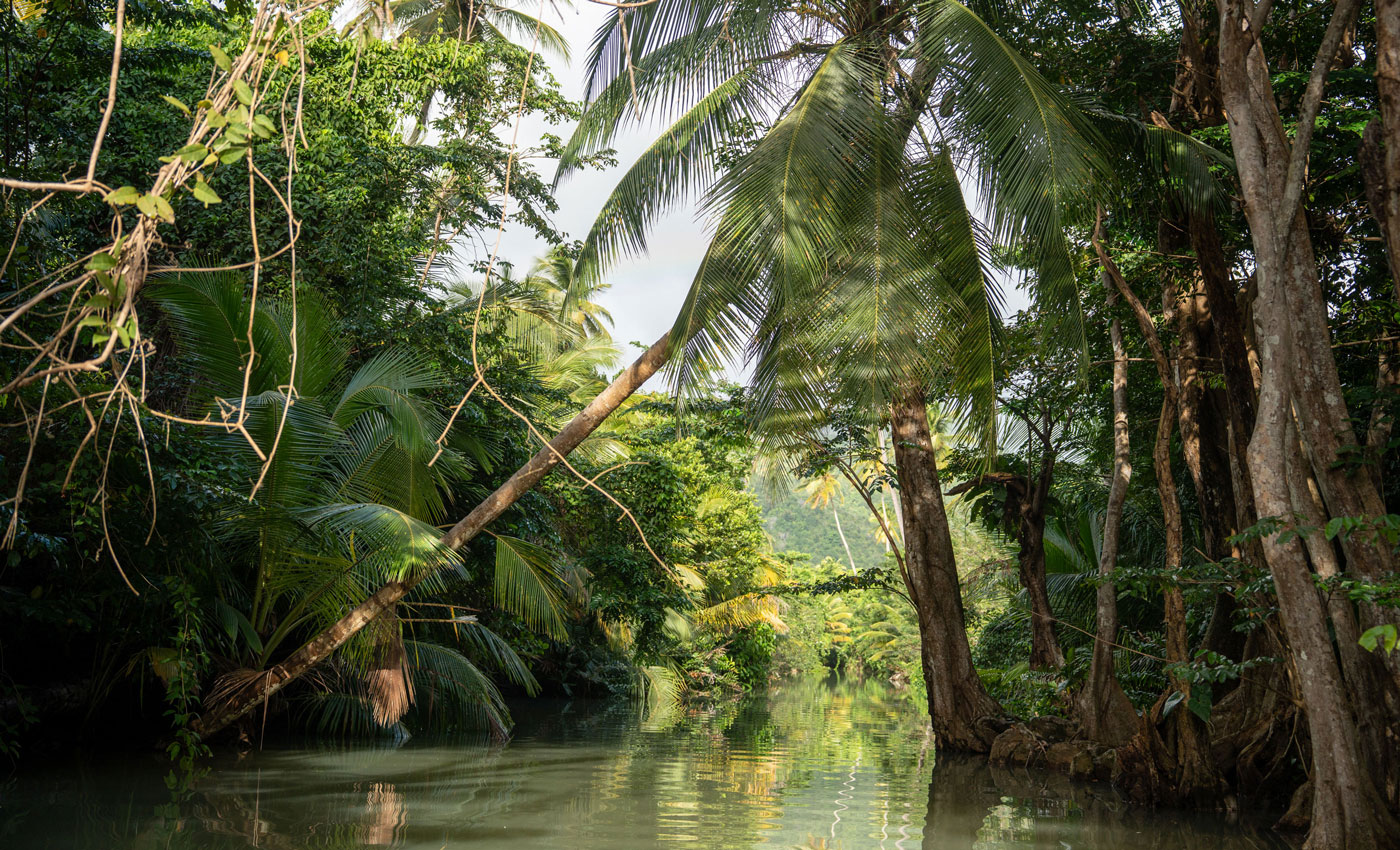 Indian River Dominica